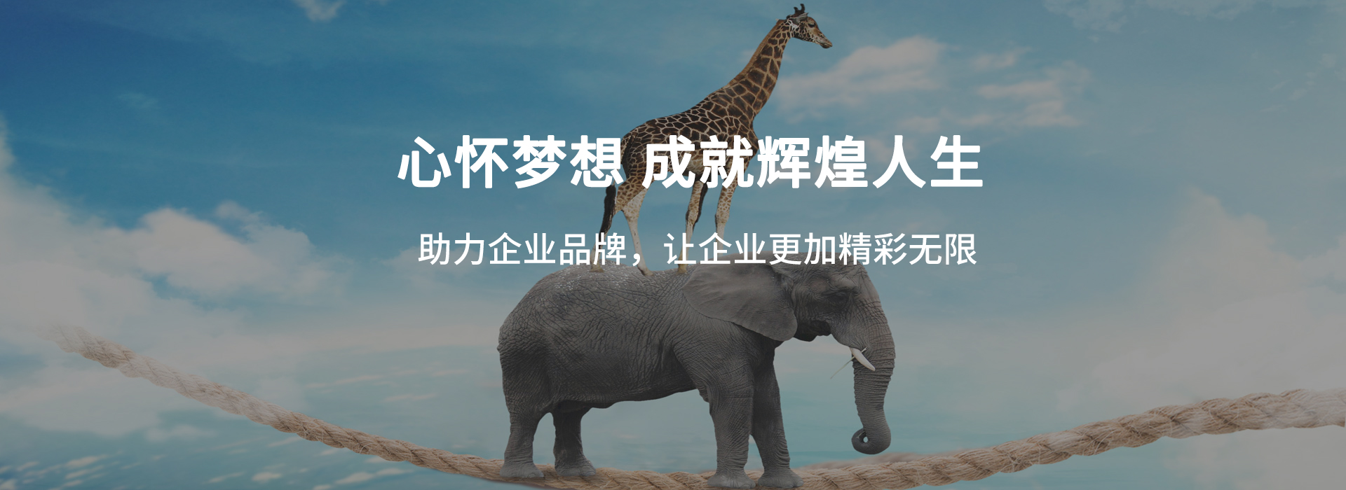 整合營(yíng)銷